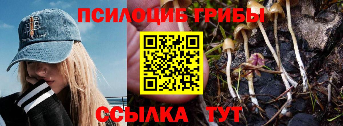 Псилоцибиновые грибы Magic Shrooms  Вход с VPN  Усть-Илимск 
